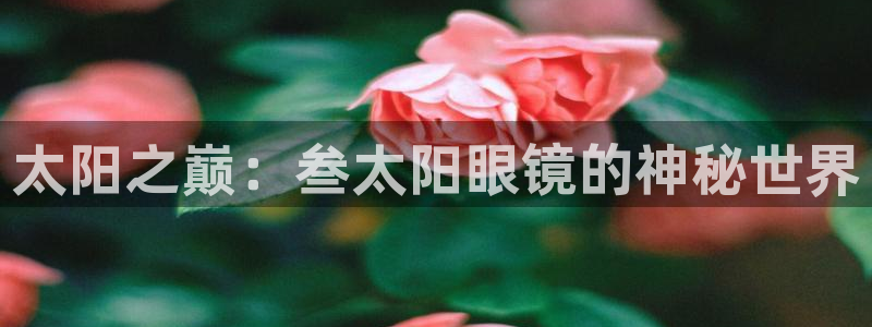 下载jdbc mysql数据库驱动