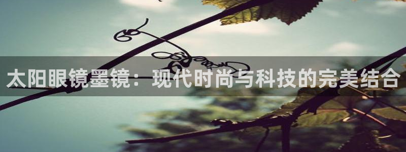 jdb变脸2