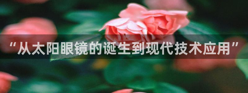 jdb集团