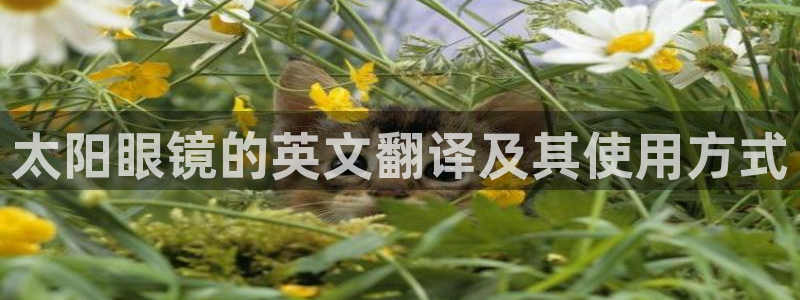 jdb夺宝试玩