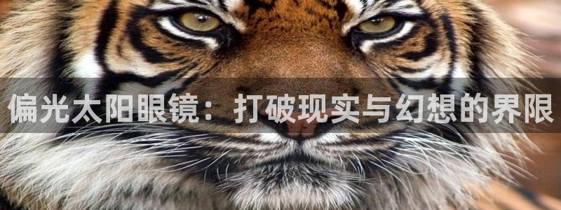 jdb电子官方网站首页官网