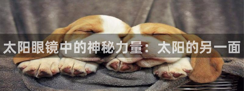 jdb下载