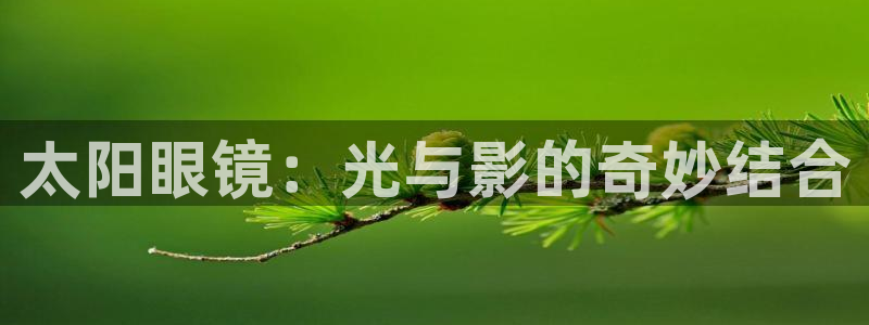 电子游戏平台jdb