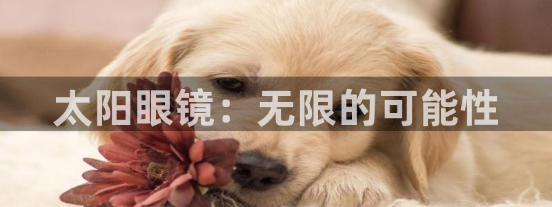 玩jdb有什么技巧