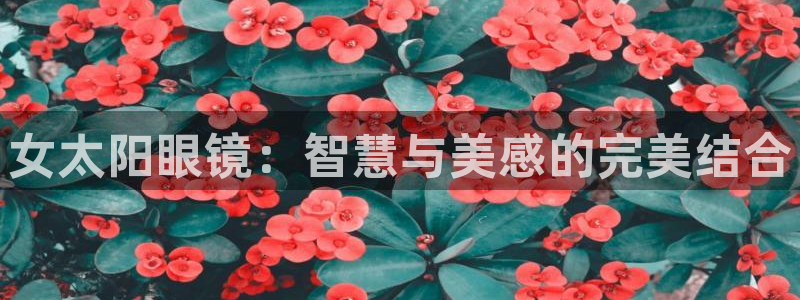 jdb电子游戏浪花2视频