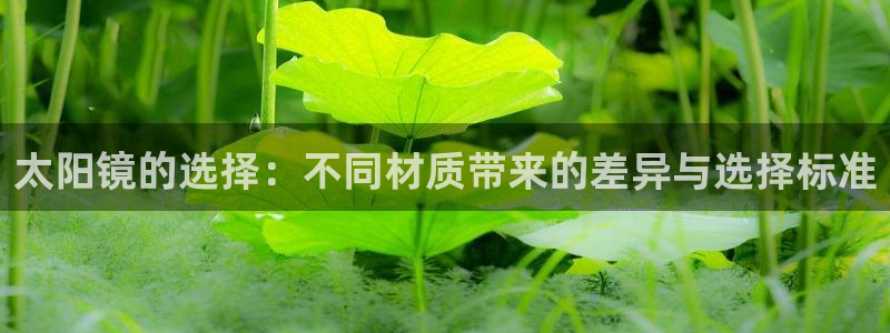 jdb游戏飞鸟排队一般几点最好玩