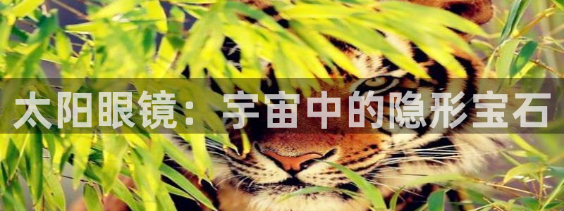 JDB游戏论坛