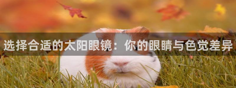 jdbc下载安装教程