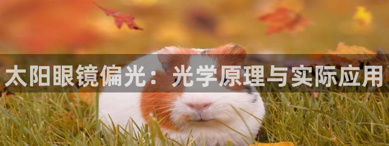 jdb电子游戏爆大奖视频