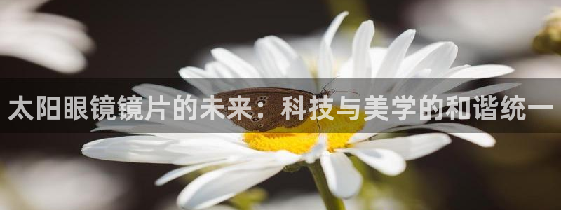 电子游艺jdb金鸡报喜