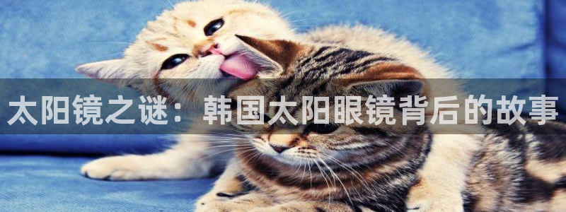 JDB电子网址