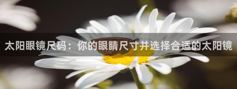 jdbs下载