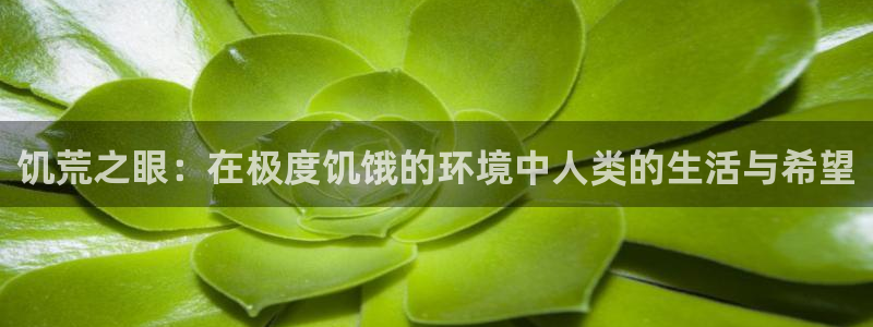 jdb电子夺宝官网试玩