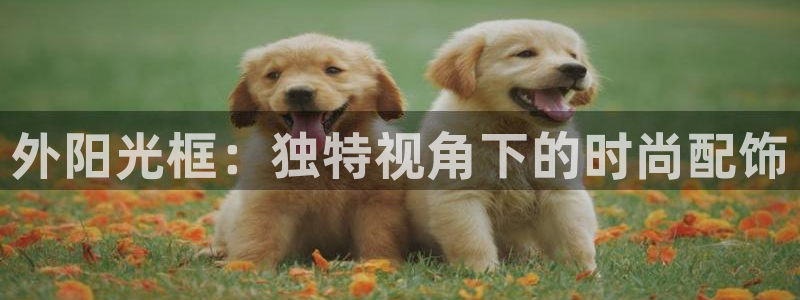 jdb中奖视频