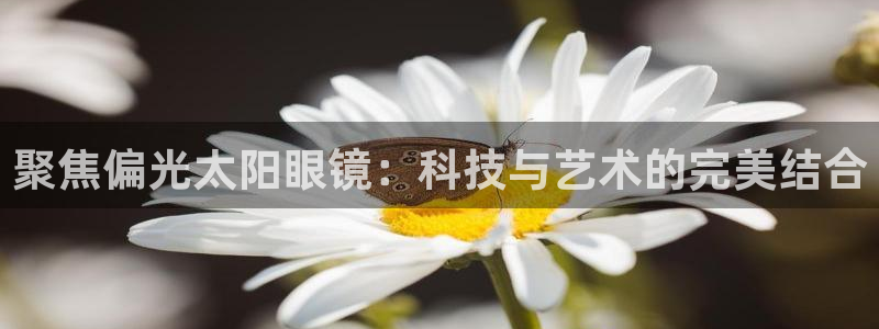 jdb电子夺宝游戏变脸2