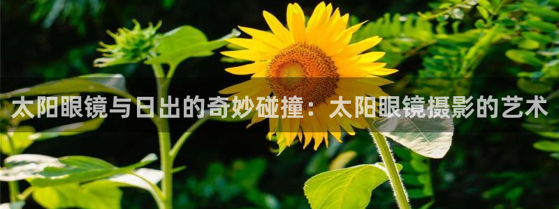 下载jdbc mysql数据库驱动