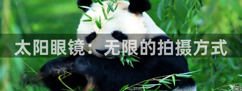 jdb电子爆奖视频好运夺宝